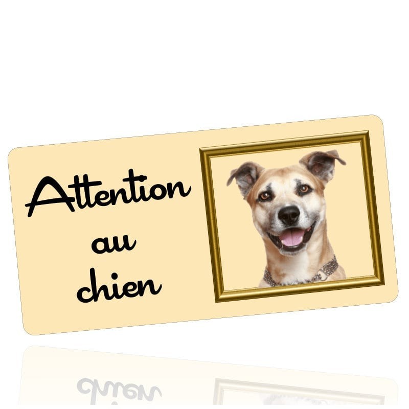 Plaque gravée personnalisée chien - Plaque chien customisé avec photo