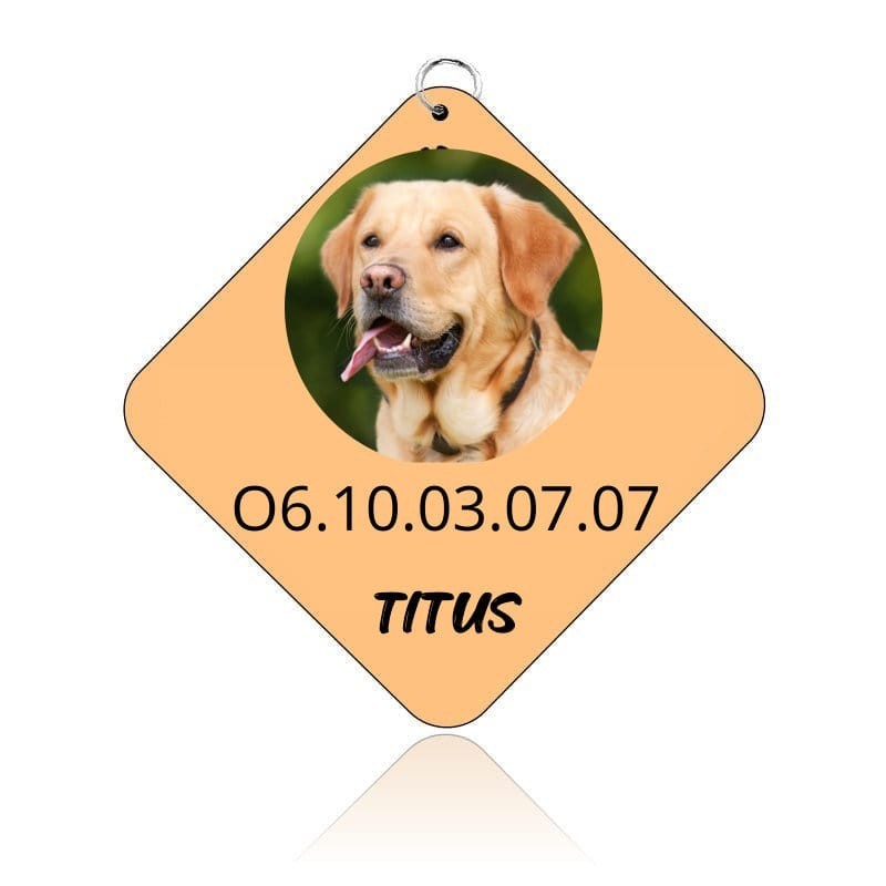 Personnalisation en ligne de médaille chien - Médaille personnalisé