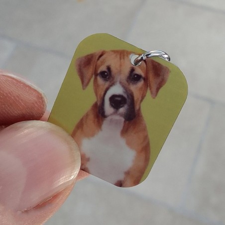 Medaille de collier pour chien à personnaliser