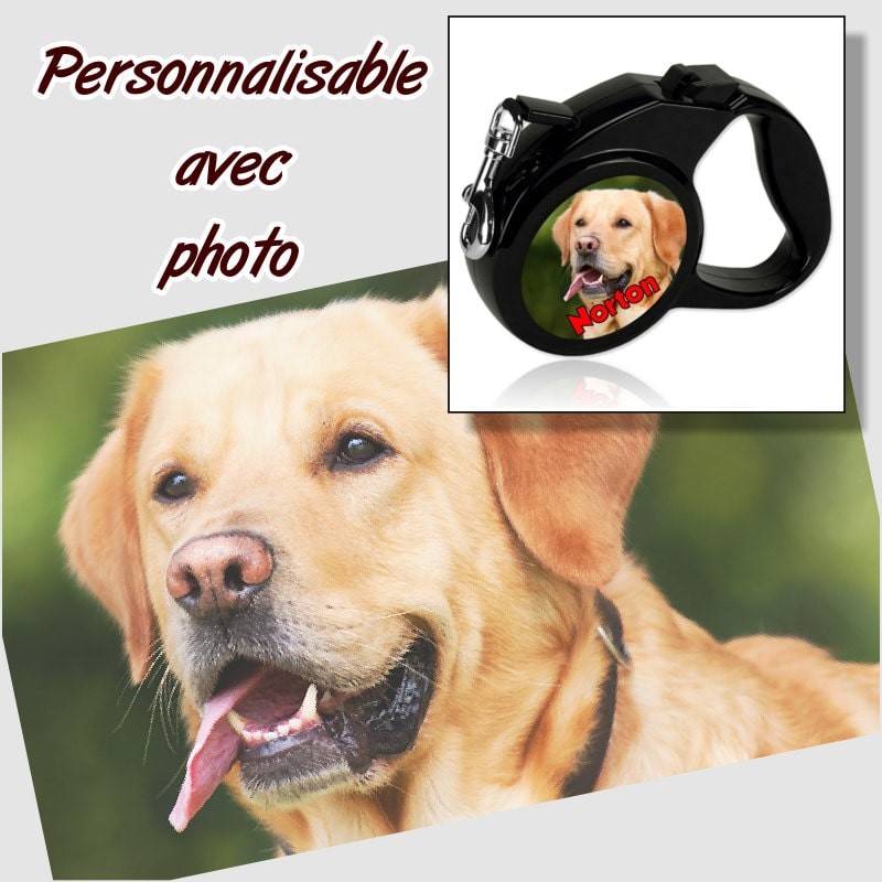 Laisse pour chien à personnaliser avec photo - Laisse personnalisable