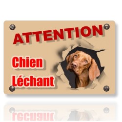 Plaque chien portail avec photo